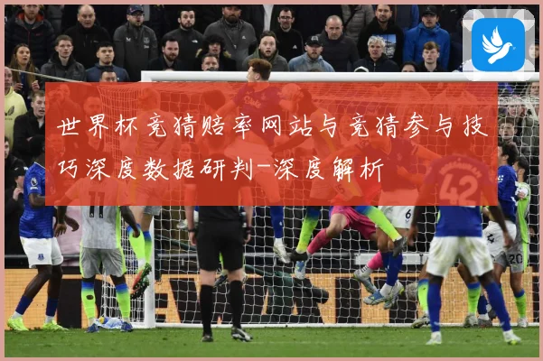世界杯竞猜赔率网站与竞猜参与技巧深度数据研判-深度解析