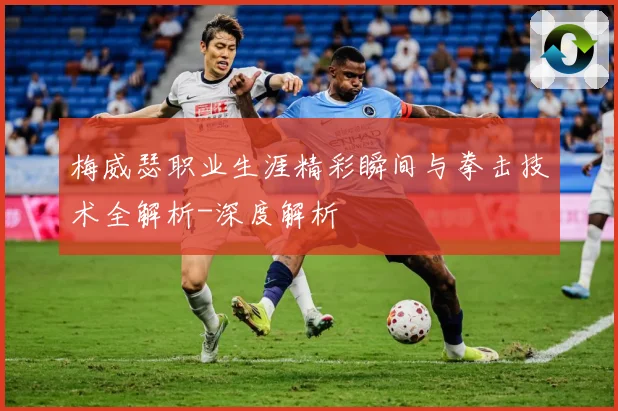 梅威瑟职业生涯精彩瞬间与拳击技术全解析-深度解析